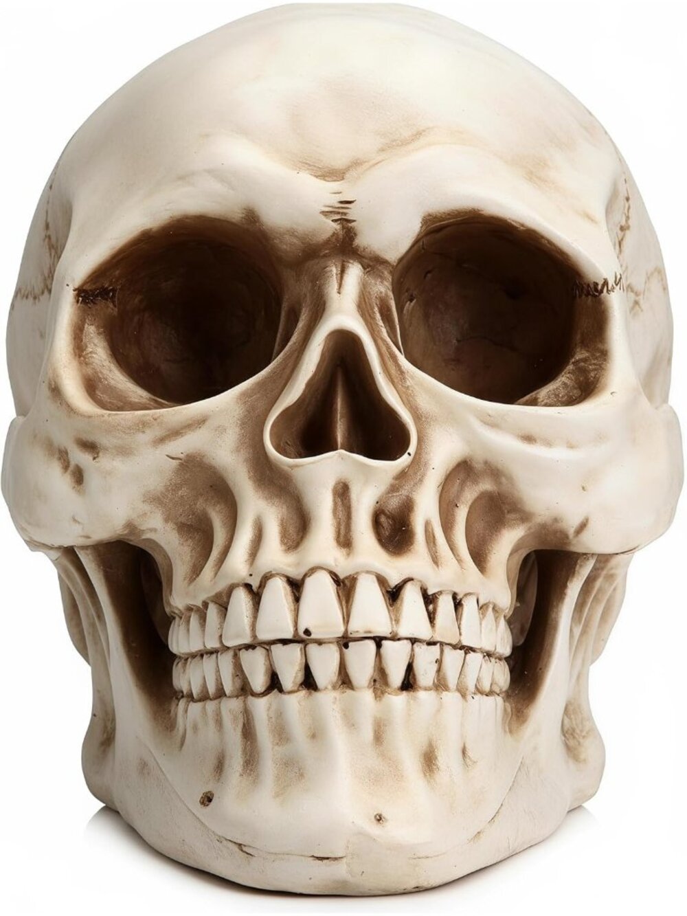 🎃Halloween High Realistic Skeleton Head Skull Statue Haunted House, Party
